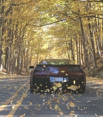 fallleaves